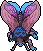 Hibernal Moth