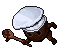 Truffle Cook