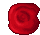 Darklight Matter