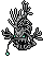 Bony Sea Devil