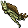 Nymph